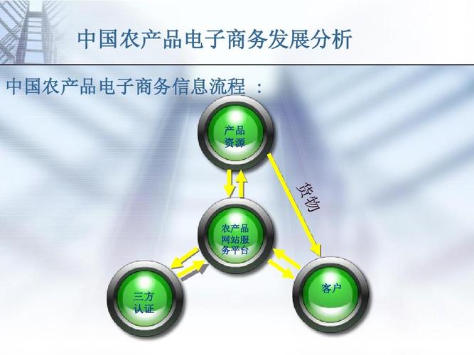 中国农产品电子商务发展分析ppt